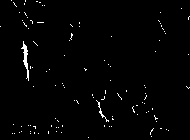 Cellulose absorbent with controllable structure and preparation method thereof