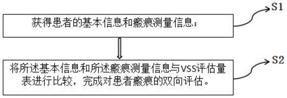 Scar assessment method and system