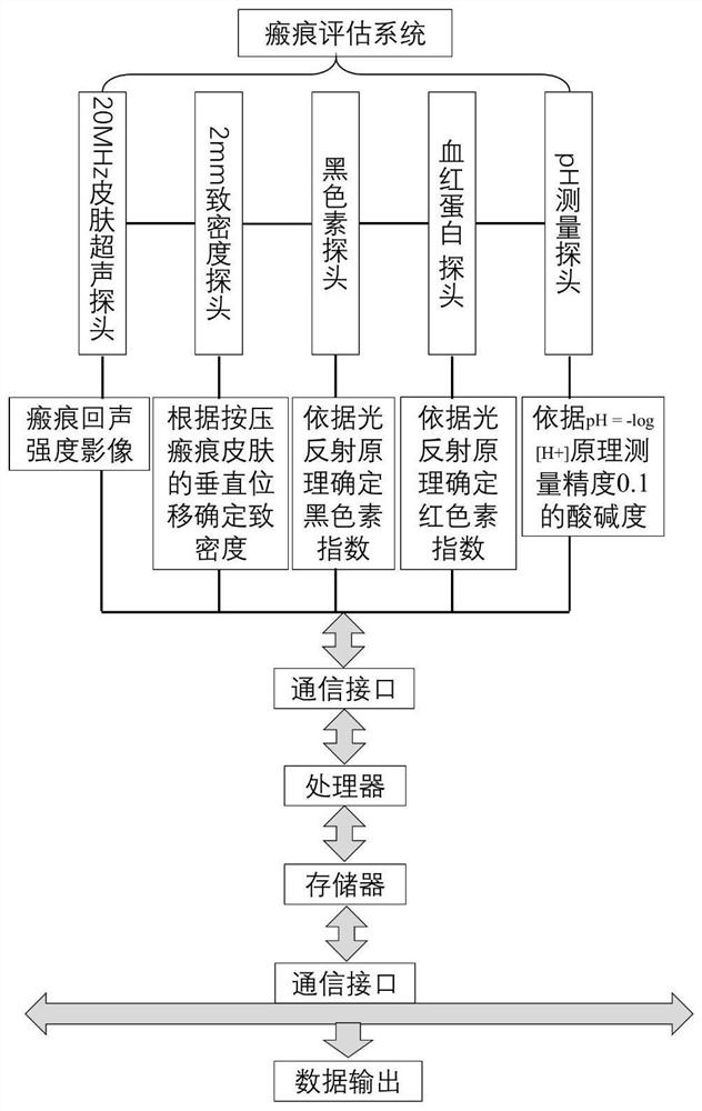 Scar assessment method and system