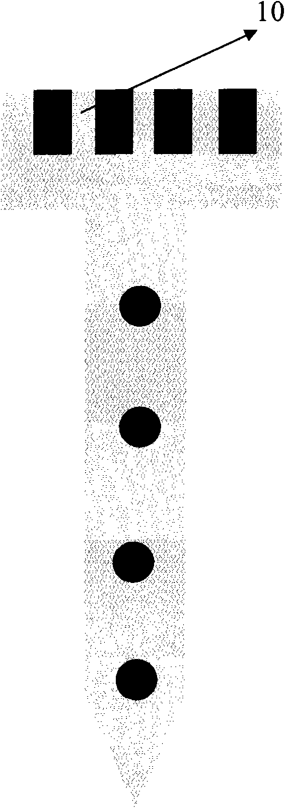 Flexible probe electrode used for recording electric signal of neural activity and implanting tool thereof