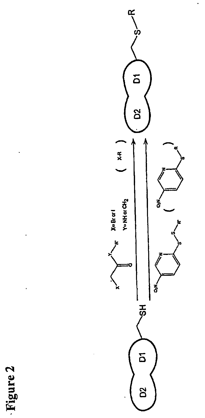 Chemically Derivatized CD4 and Uses Thereof