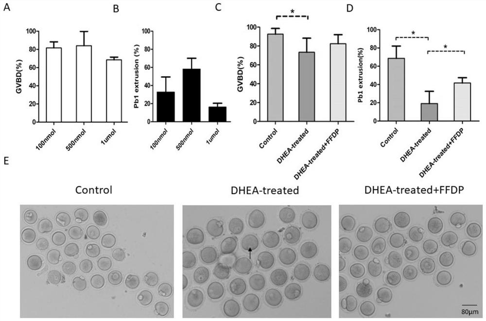 Polypeptide FFDP and application thereof in oocyte in-vitro culture