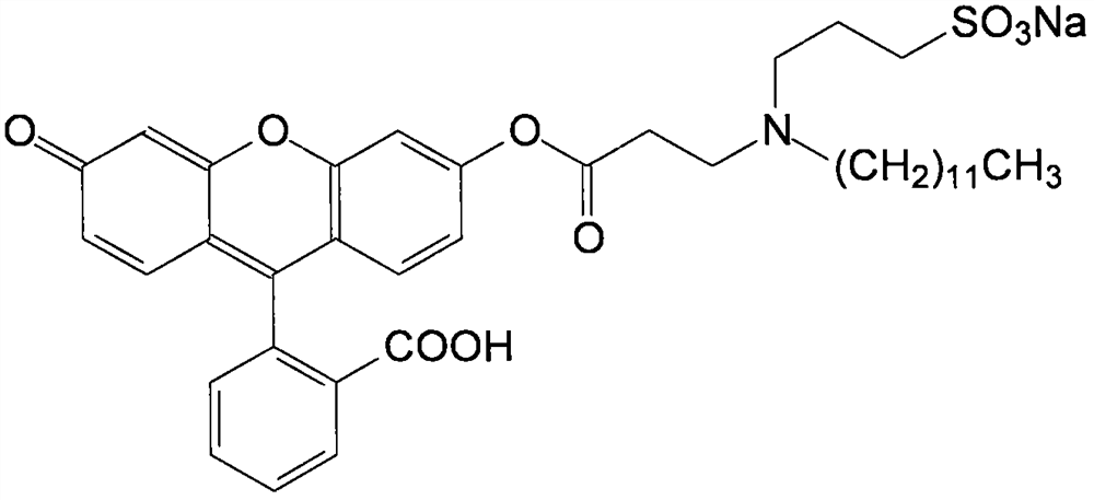 A kind of polymerization method of fluorescein dye