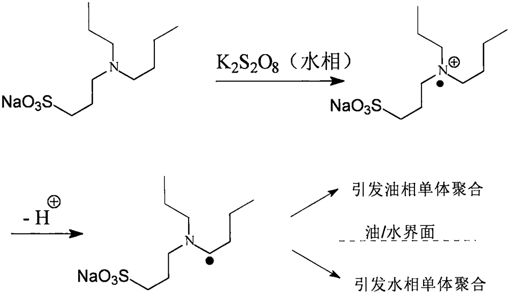 A kind of polymerization method of fluorescein dye