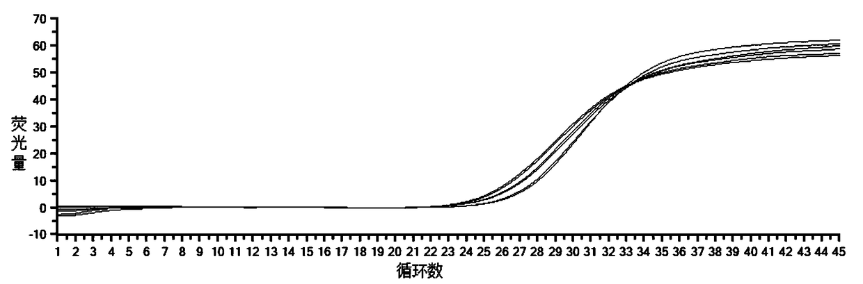 Extraction method for environmental DNA of neophocaena phocaenoides asiaeorientalis and application of method