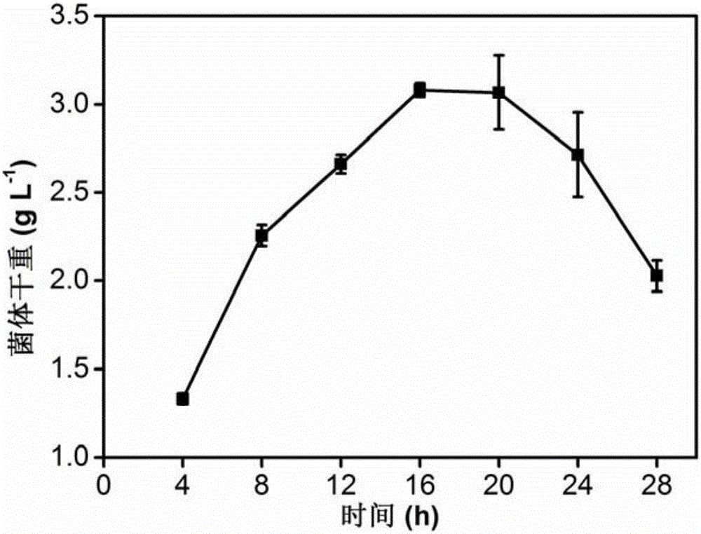 Actinoplanes spp. genetic manipulation system