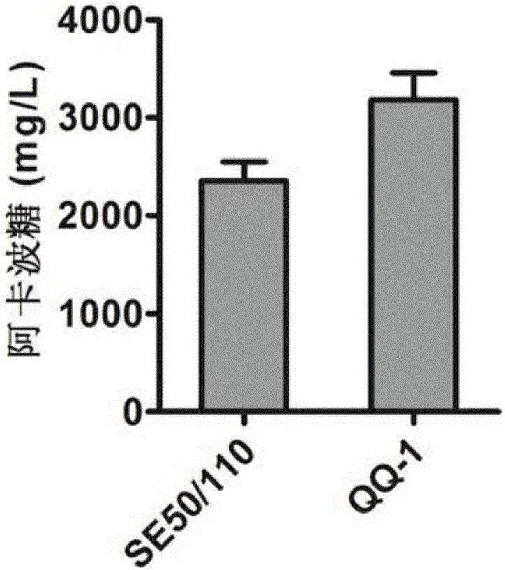 Actinoplanes spp. genetic manipulation system