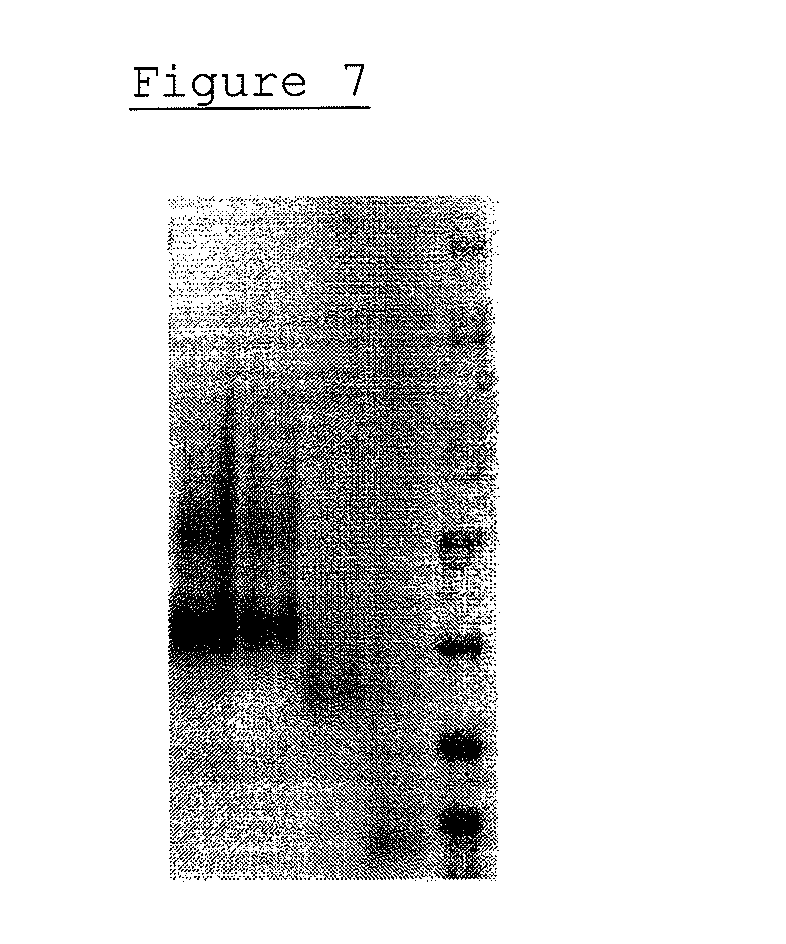 Non-specific reaction inhibitor