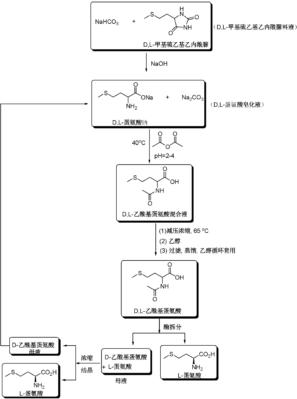 Method for preparing L-methionine