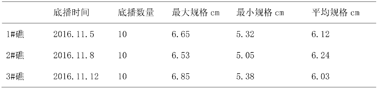 A method for improving the survival rate of artificially bred juvenile giant clam multiplication and release