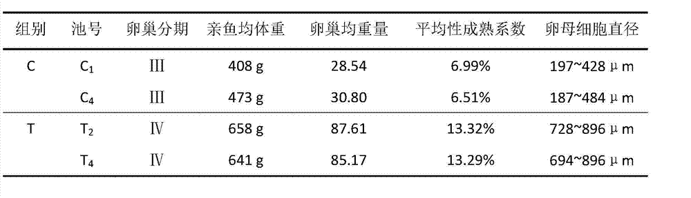 Compound feed capable of enhancing reproductive capacity of parent dace