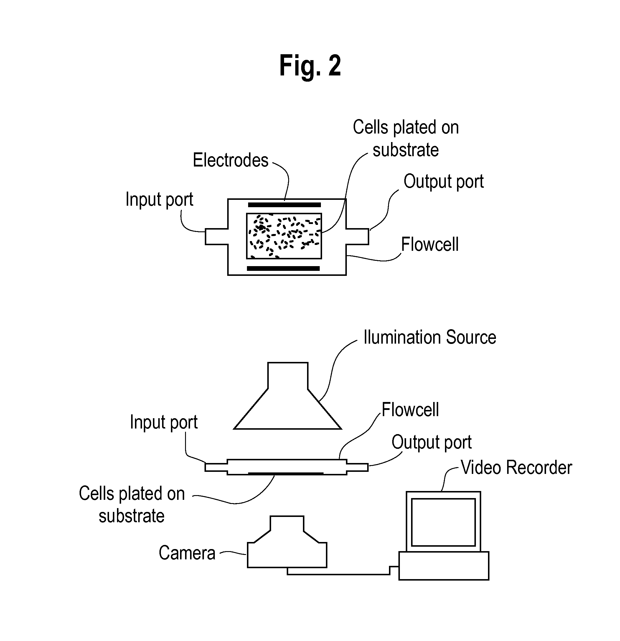 High throughput, optical method and system for determining the effect of a test substance on non-contiguous living cells