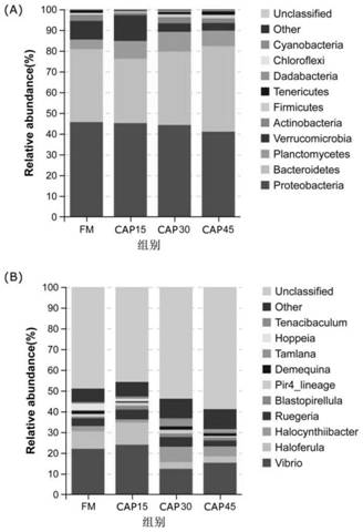 Application of clostridium autoethanogenum protein in promoting growth of litopenaeus vannamei and improving intestinal flora