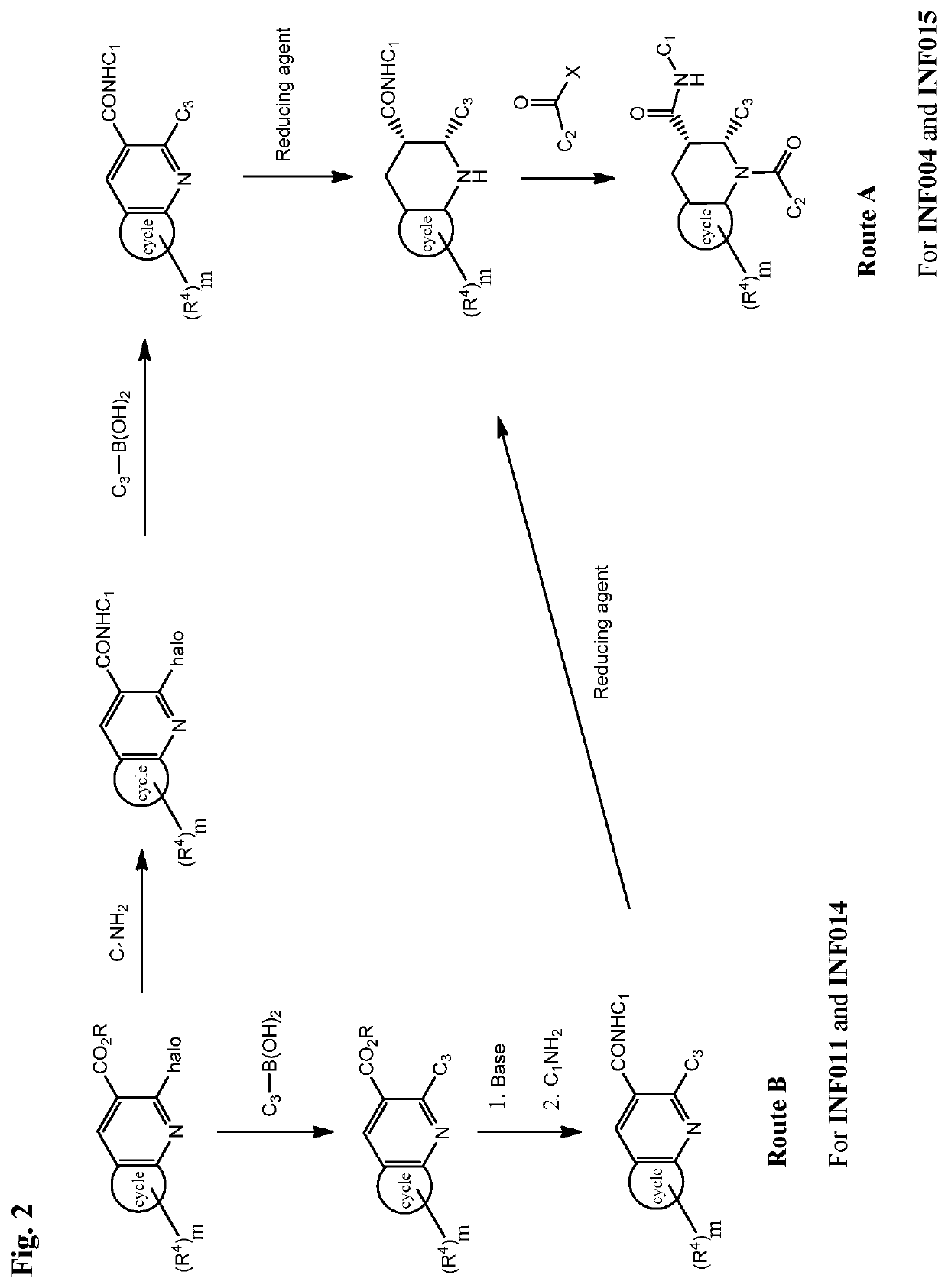 Fused piperidinyl bicyclic and related compounds as modulators of C5A receptor
