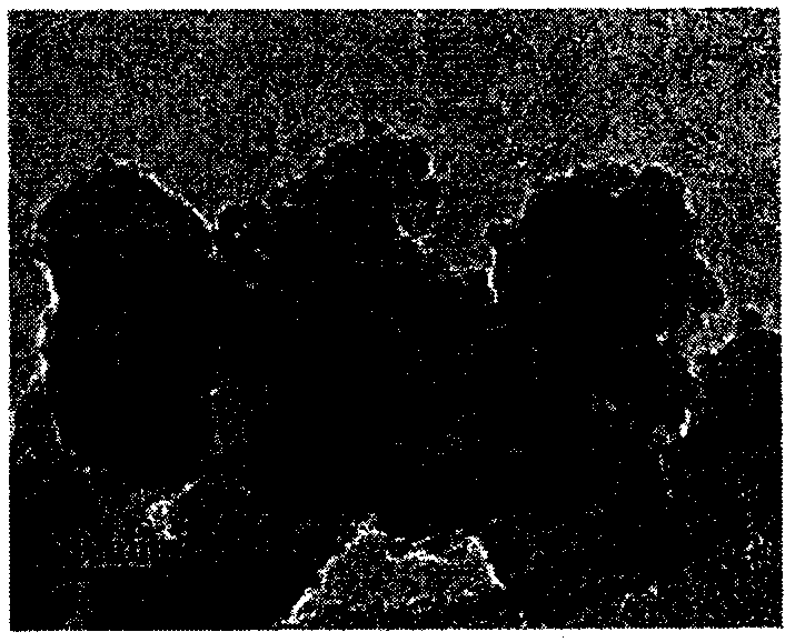 Method for preparing photoanode of co-sensitized quantum dot solar cell