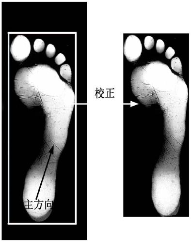 A Characteristic Representation Method of Footprint Pressure Distribution