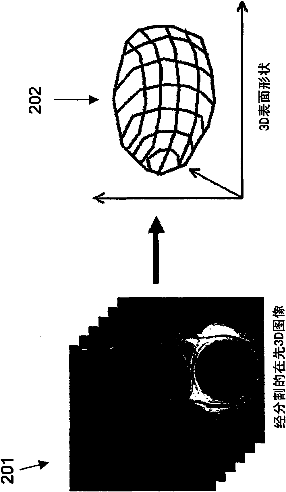System and method for fusing real-time ultrasound images with pre-acquired medical images