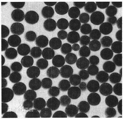 A method of stressing Haematococcus pluvialis to rapidly accumulate astaxanthin