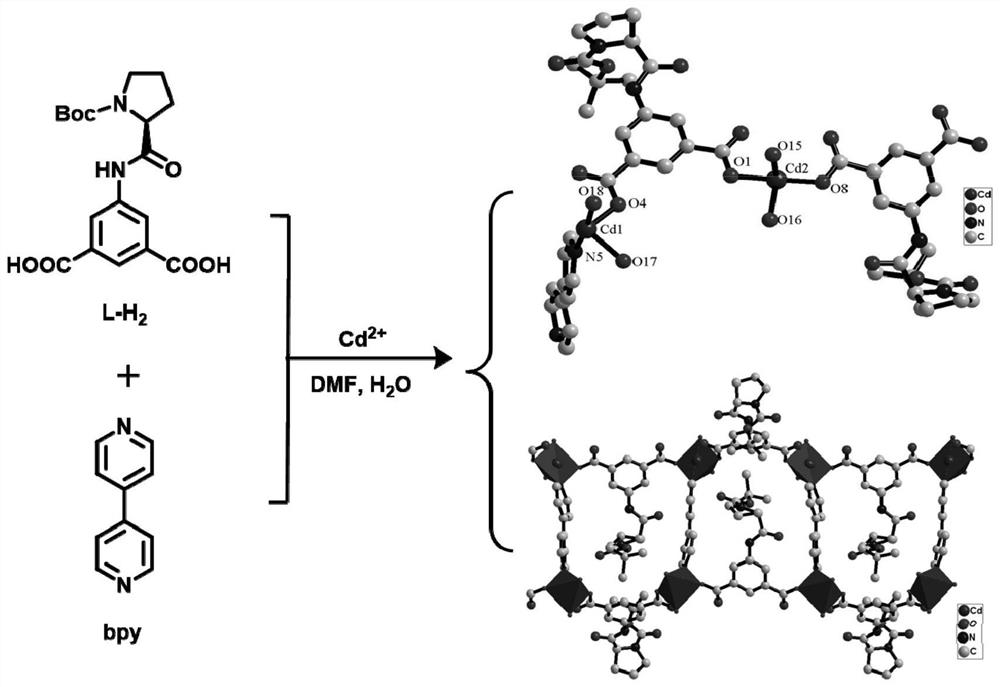 V-shaped chiral carboxylic acid ligand, preparation method and application thereof