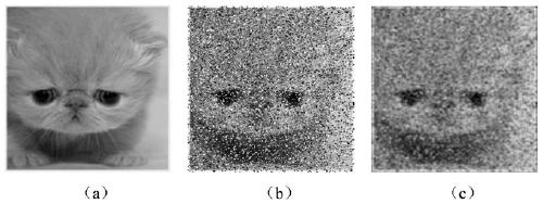 Image denoising system for protecting image details