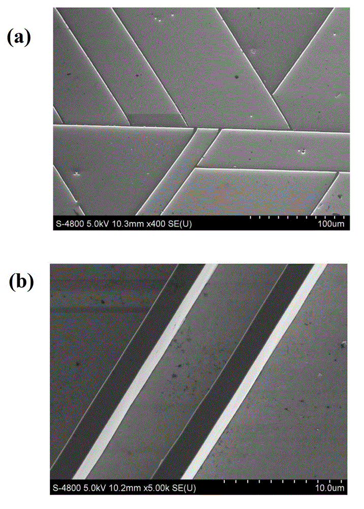 Method for growing large-area zinc oxide micron wall