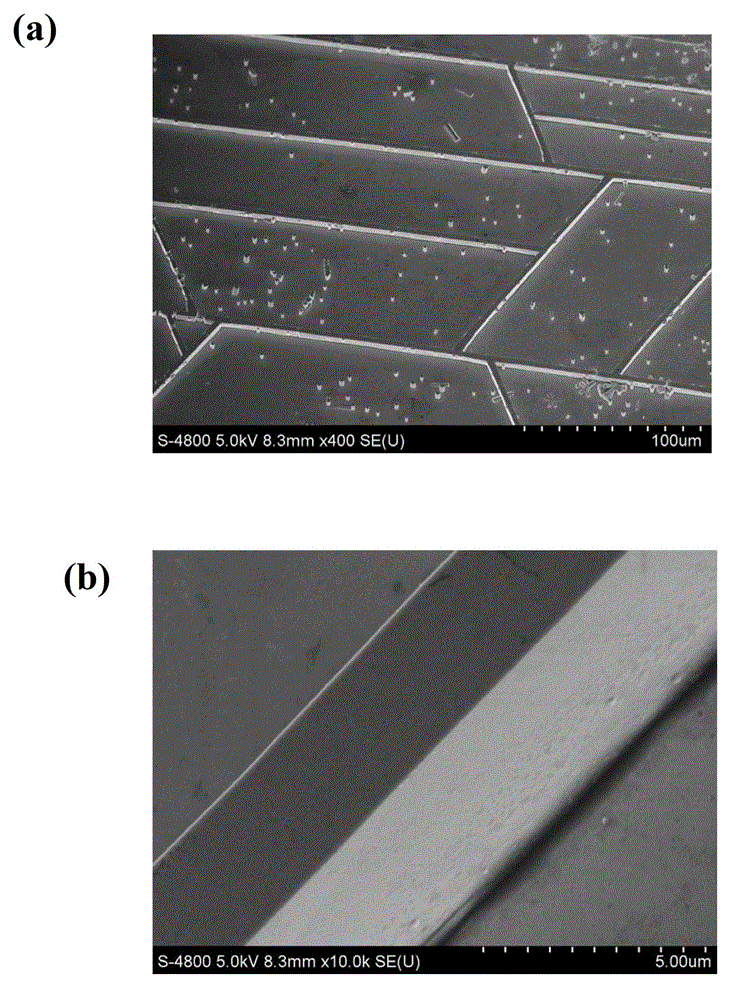 Method for growing large-area zinc oxide micron wall