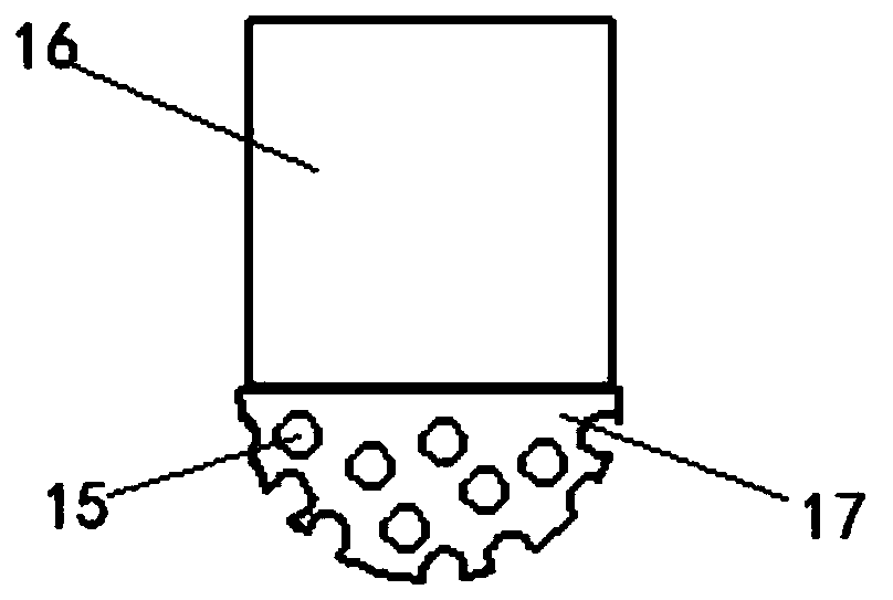 Irrigation filtering apparatus