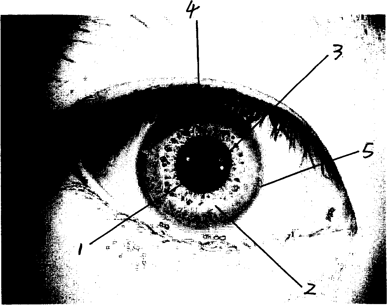 Iris positioning method based on multi-resolutions analysis