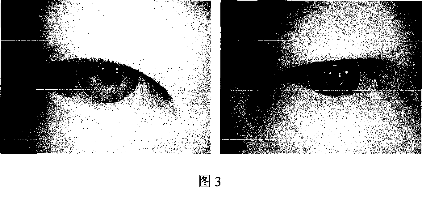 Iris positioning method based on multi-resolutions analysis