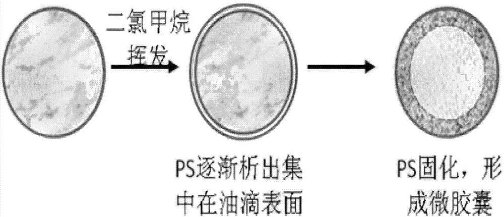 Preparation and separation and purification method for latent curing agent microcapsule with temperature responsive controlled release characteristic