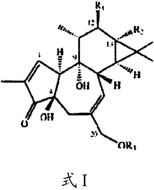 Compositions and methods of use of phorbol esters