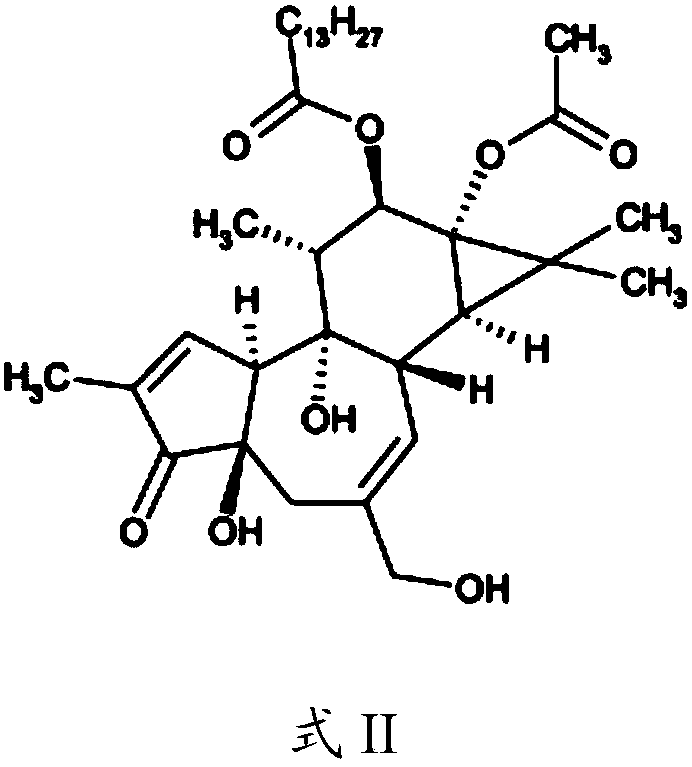 Compositions and methods of use of phorbol esters