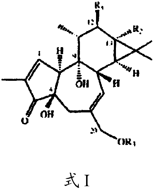 Compositions and methods of use of phorbol esters