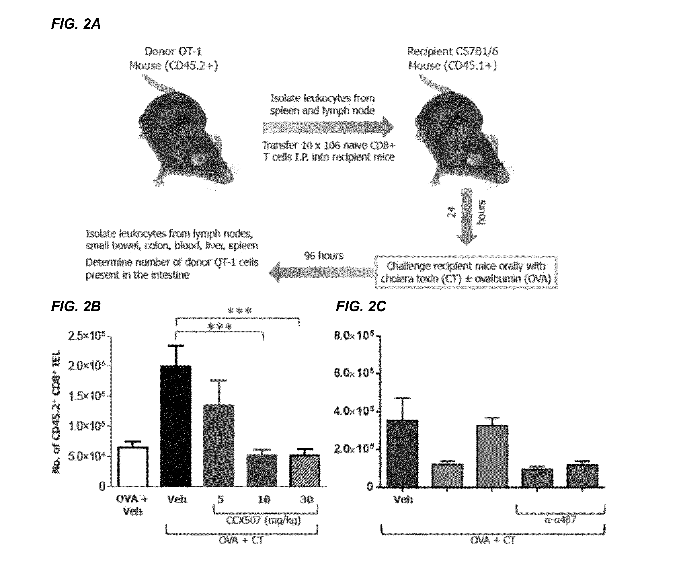 Combinations and Methods for Treating Inflammatory Bowel Disease Using a Combination Therapy of Small Molecule Inhibitors of C-C Chemokine Receptor 9 (CCR9) and Anti-alpha4beta7 Integrin Blocking Antibodies