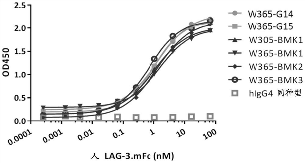 Novel bispecific pd-1/lag-3 antibody molecules