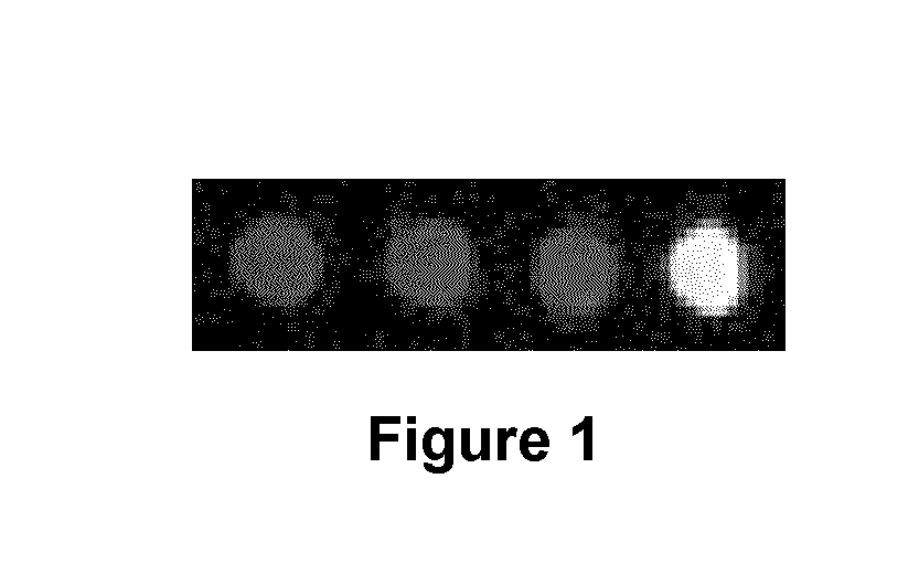 MRI contrast agents for cell labeling