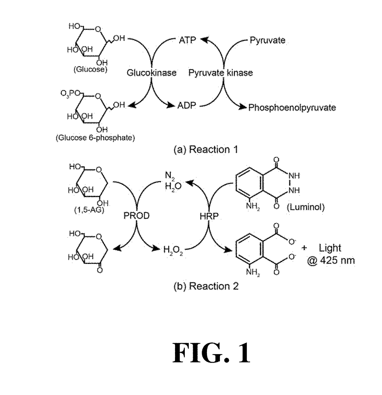 Systems and methods for detection of chemiluminescent reactions
