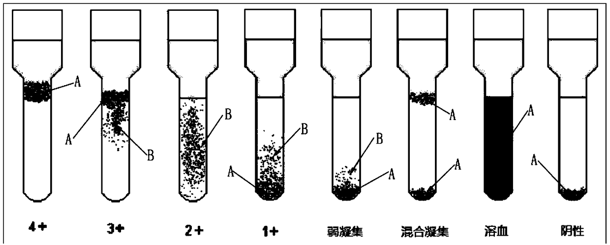 Micro-column gel card agglutination test result recognition method