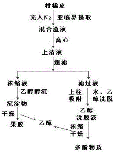 Extraction method of pectin and polyphenol in orange peel