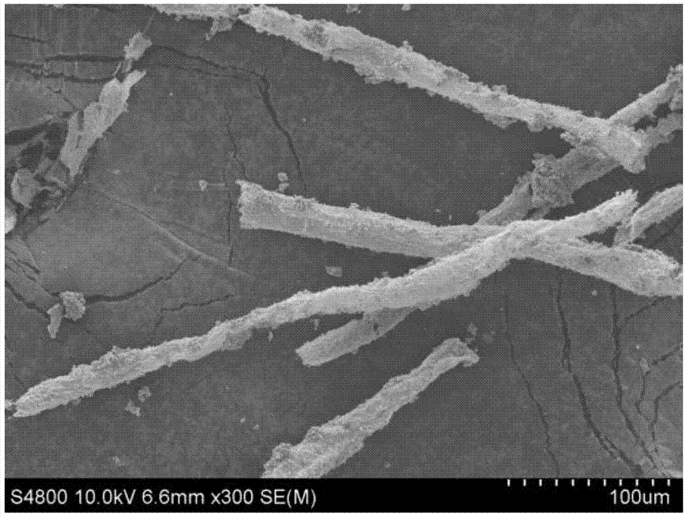 Platanus fruit hair fiber as preparation tio  <sub>2</sub> Application of Micron Hollow Tube Formwork