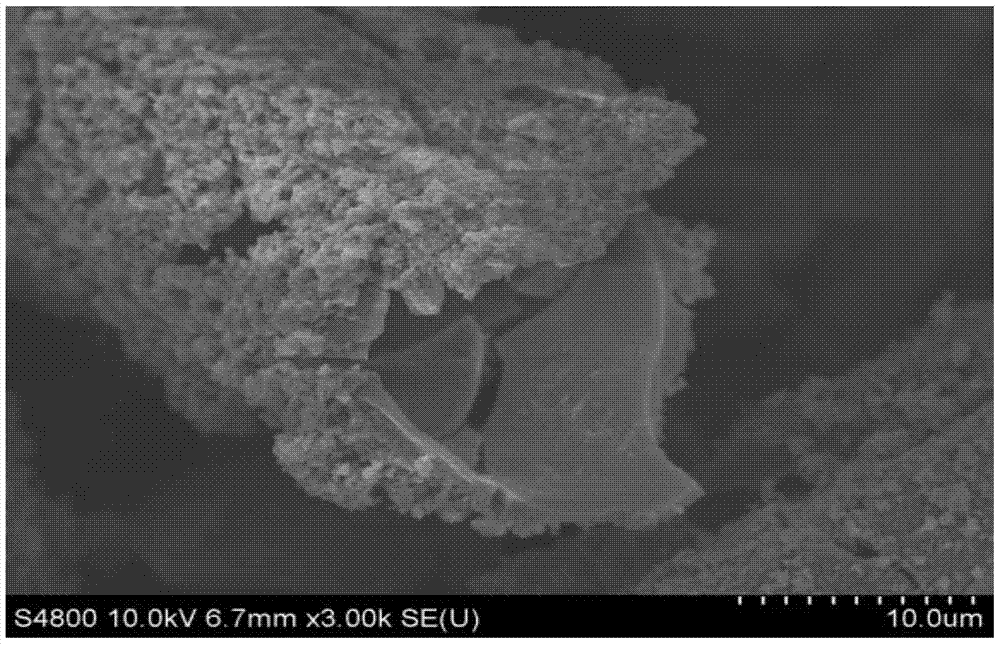 Platanus fruit hair fiber as preparation tio  <sub>2</sub> Application of Micron Hollow Tube Formwork