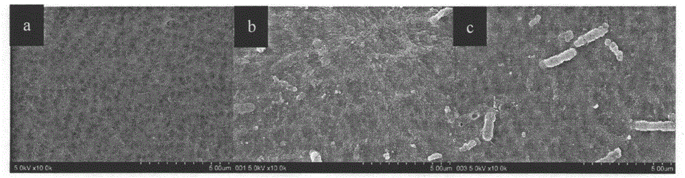 Preparation method of polymer film with hydrophilic and anti-fouling performance