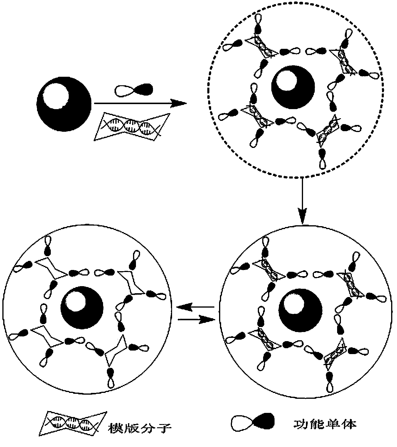 Preparation method and application of microwave-assisted synthesized chlorine-element-doped surface molecular imprinting photocatalyst