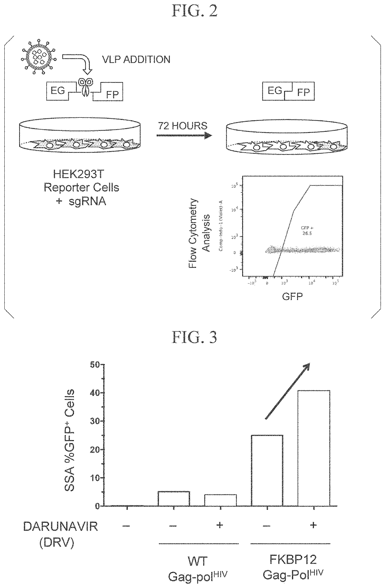 Virus-like particles and use thereof