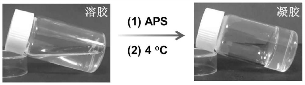 Preparation method and application of novel adhesive antibacterial temperature-tolerant functional hydrogel