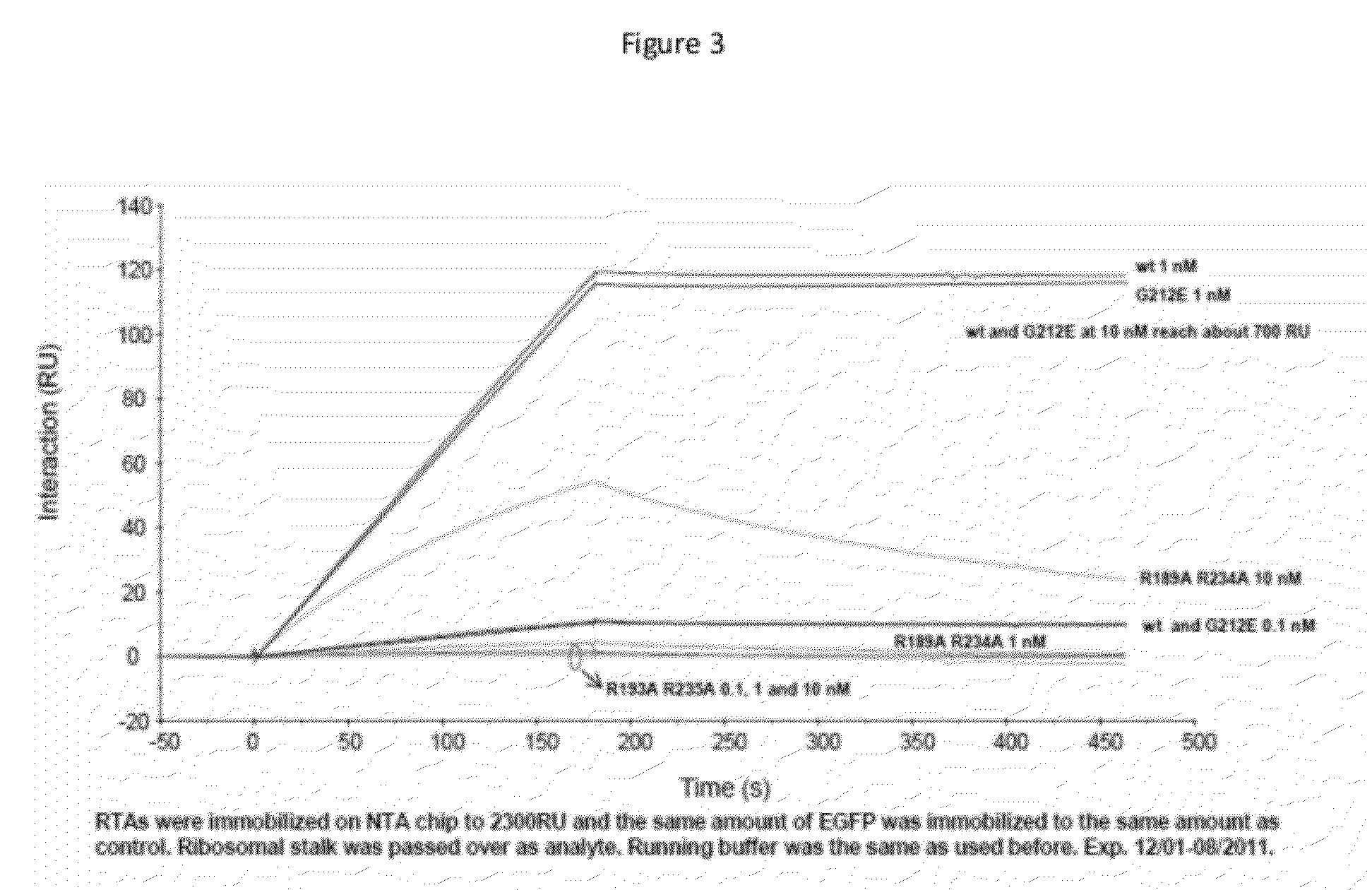 Ricin ribosome binding protein compositions and methods of use thereof