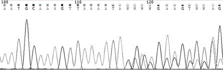 KIT gene mutation detection kit