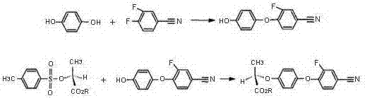 Continuous production method for industrially preparing 2,3-difluorobenzotrifluoride and 3,4-difluorobenzonitrile