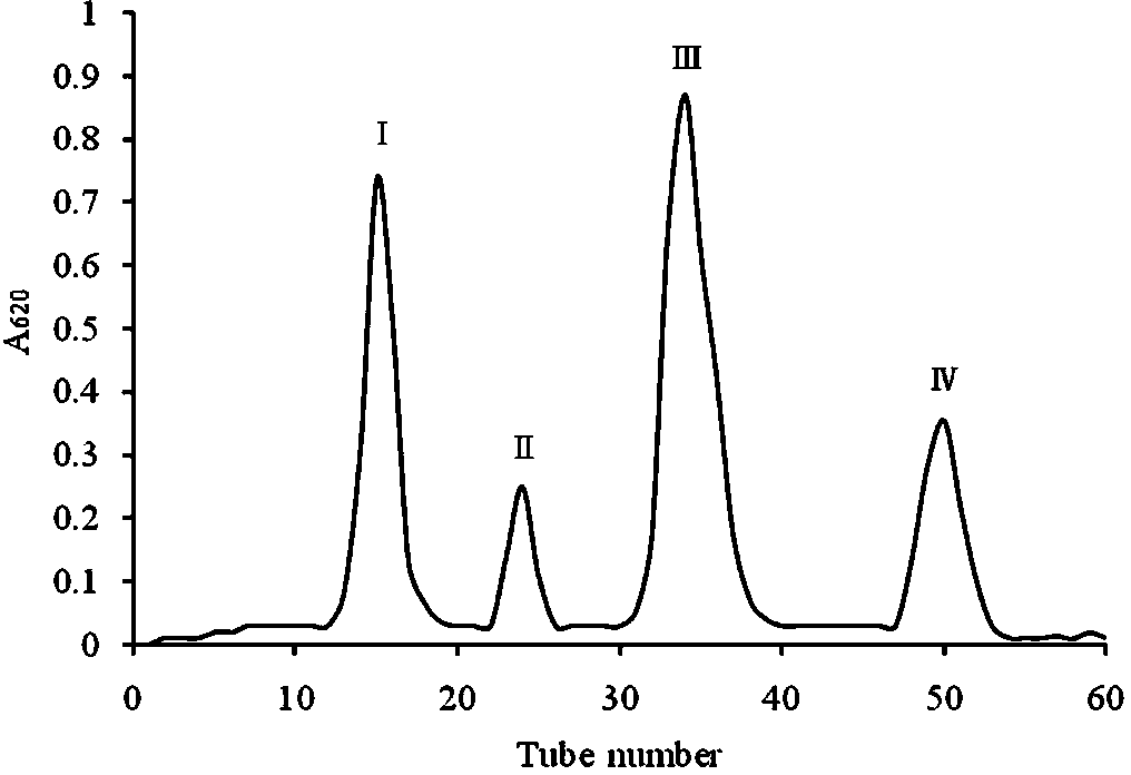 Composition containing mushroom mycelium polysaccharides and applications thereof