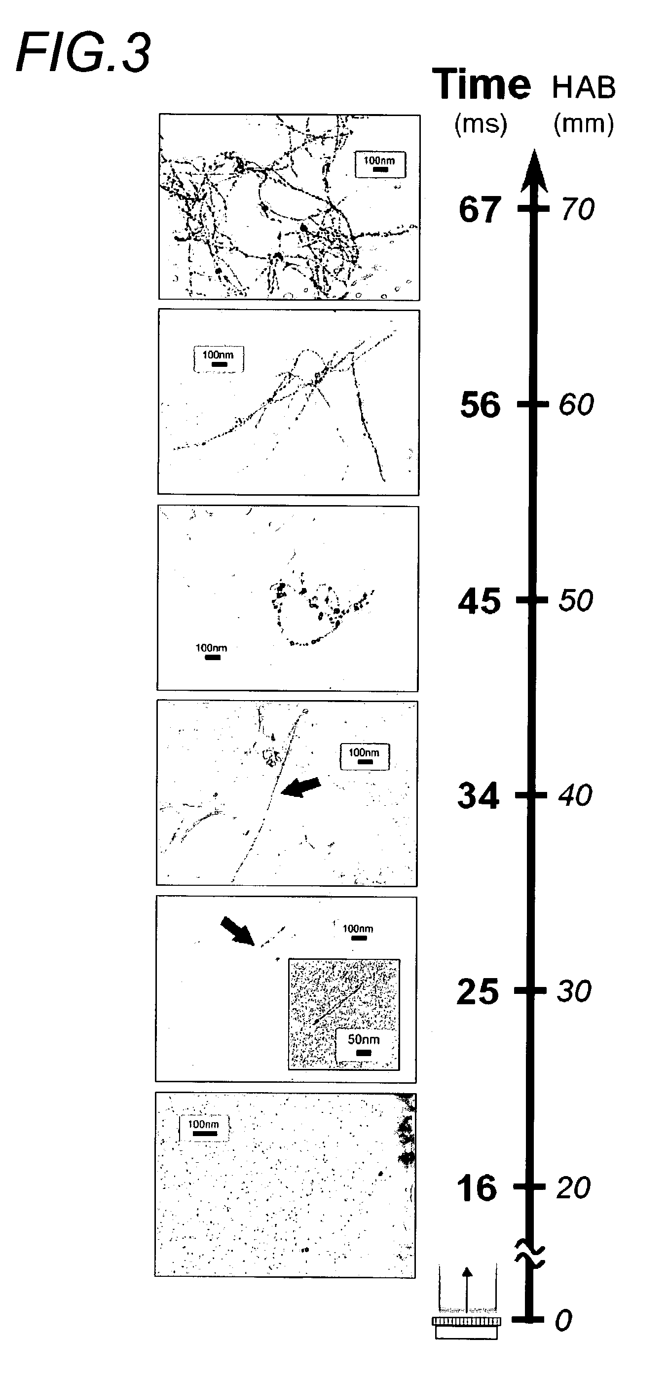 Method and apparatus for synthesizing filamentary structures
